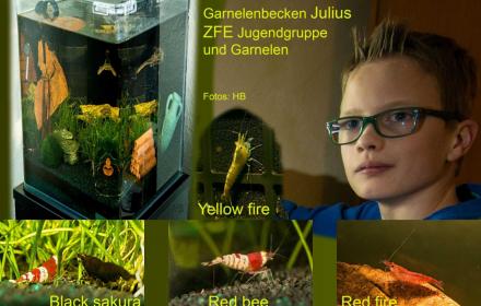 Neue Bilder unter Verein / Jugendgruppe