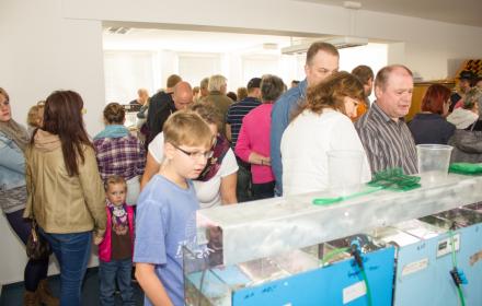 Zierfisch- und Aquarienpflanzenbörse am 22.02.2015