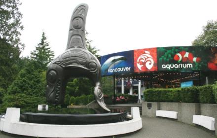 Vivaristik in anderen Dimensionen