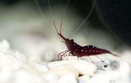 Ausstellung La Casa (Einbeck)