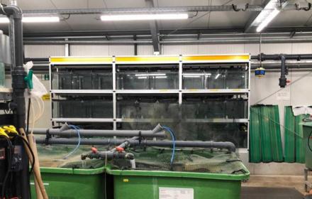 17.05.2019 - Besuch Aquakultur der Forschung an der Universität Göttingen