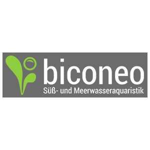 biconeo-aquascaping